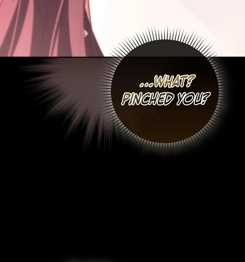 My Husband Is My Ultimate Bias, but I Think He Wants a Divorce Chapter 23 page 63 - 