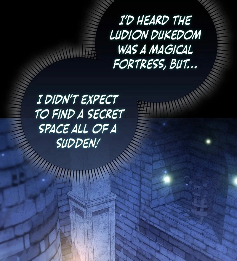My Husband Is My Ultimate Bias, but I Think He Wants a Divorce Chapter 23 page 10 - 