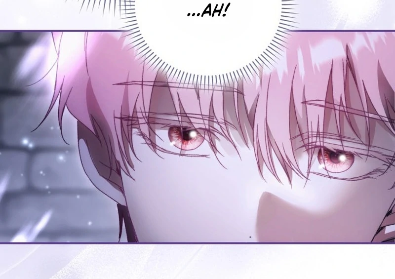 My Husband Is My Ultimate Bias, but I Think He Wants a Divorce Chapter 3 page 27 - 