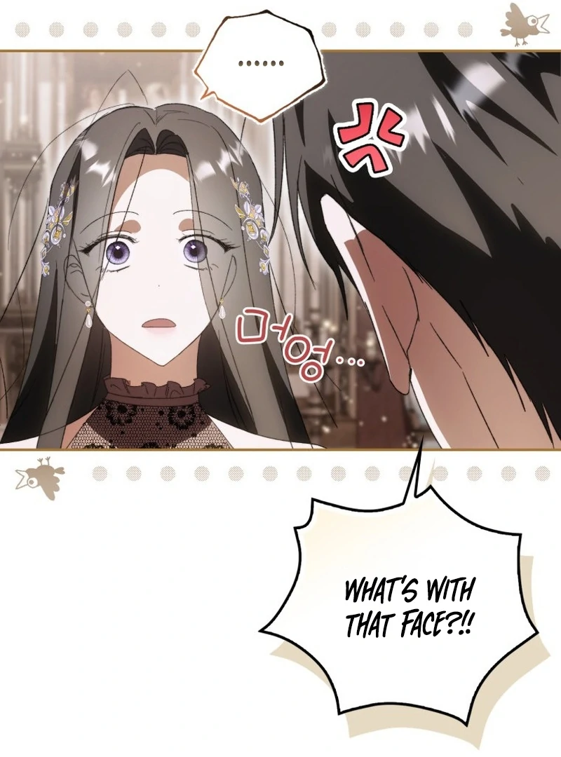 My Husband Is My Ultimate Bias, but I Think He Wants a Divorce Chapter 4 page 106 - 