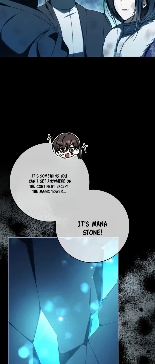 My Husband Is My Ultimate Bias, but I Think He Wants a Divorce Chapter 40 page 10 - 