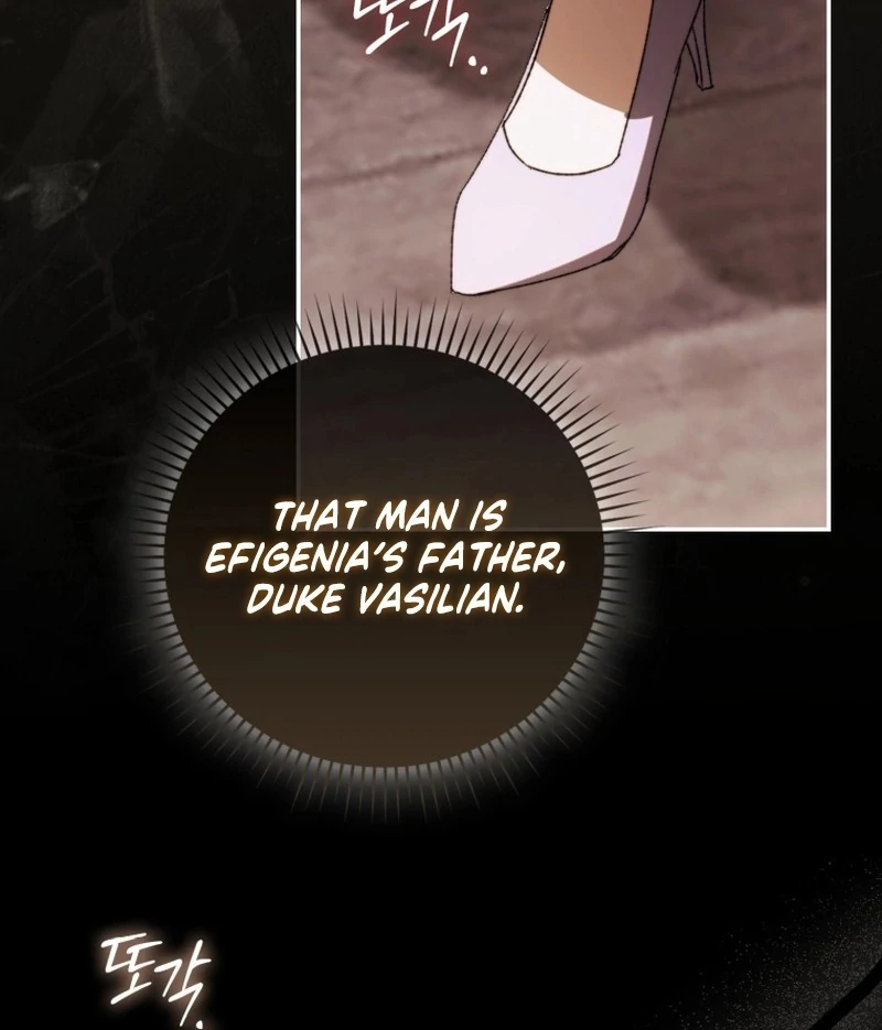 My Husband Is My Ultimate Bias, but I Think He Wants a Divorce Chapter 5 page 9 - 
