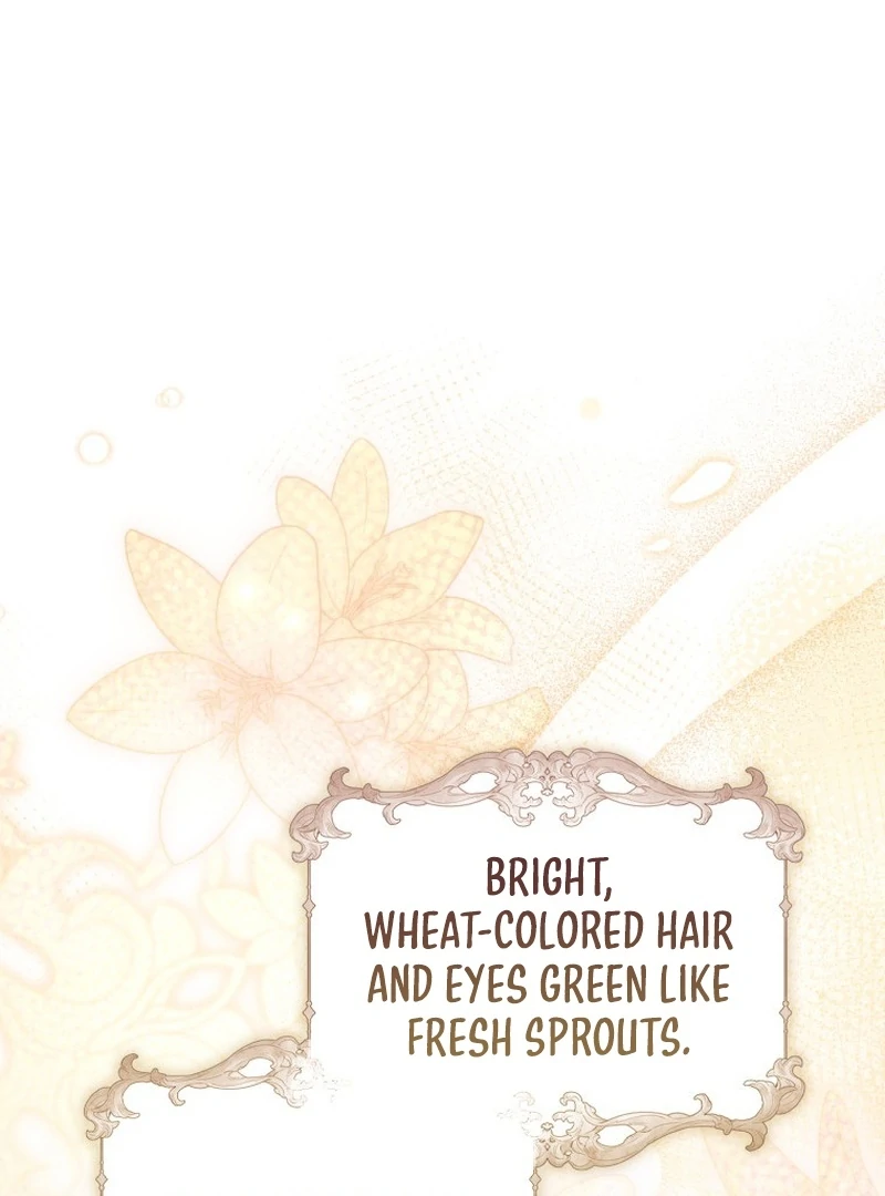 My Husband Is My Ultimate Bias, but I Think He Wants a Divorce Chapter 6 page 86 - 