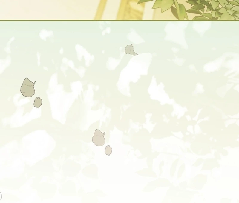My Husband Is My Ultimate Bias, but I Think He Wants a Divorce Chapter 9.1 page 112 - 