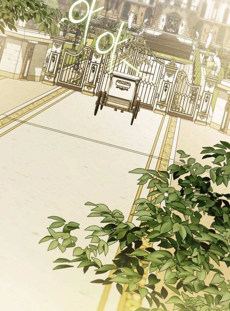 My Husband Is My Ultimate Bias, but I Think He Wants a Divorce Chapter 9 page 111 - 