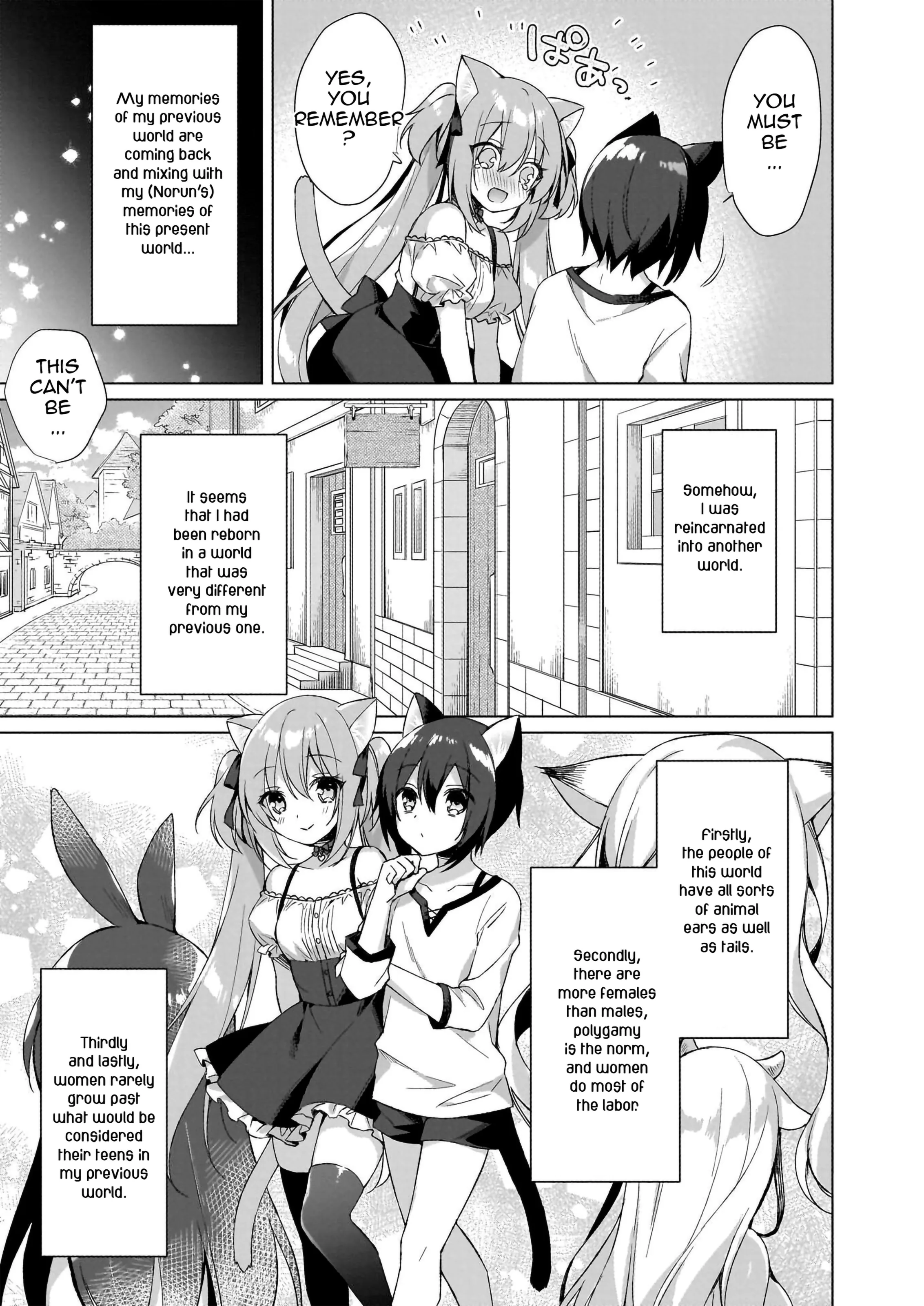 My Ideal Life in Another World ~Perfected Fan Edition~ Chapter 1 page 18 - 