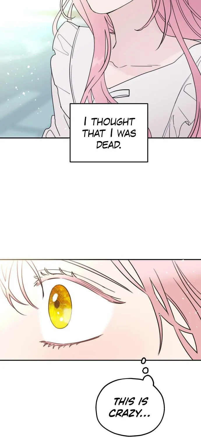 My In-Laws are Obsessed with Me Chapter 1 page 48 - 