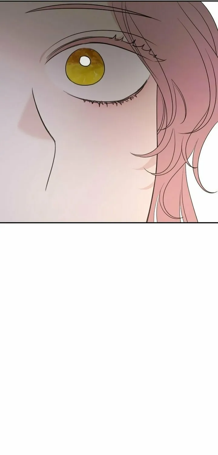My In-Laws are Obsessed with Me Chapter 106 page 19 - 