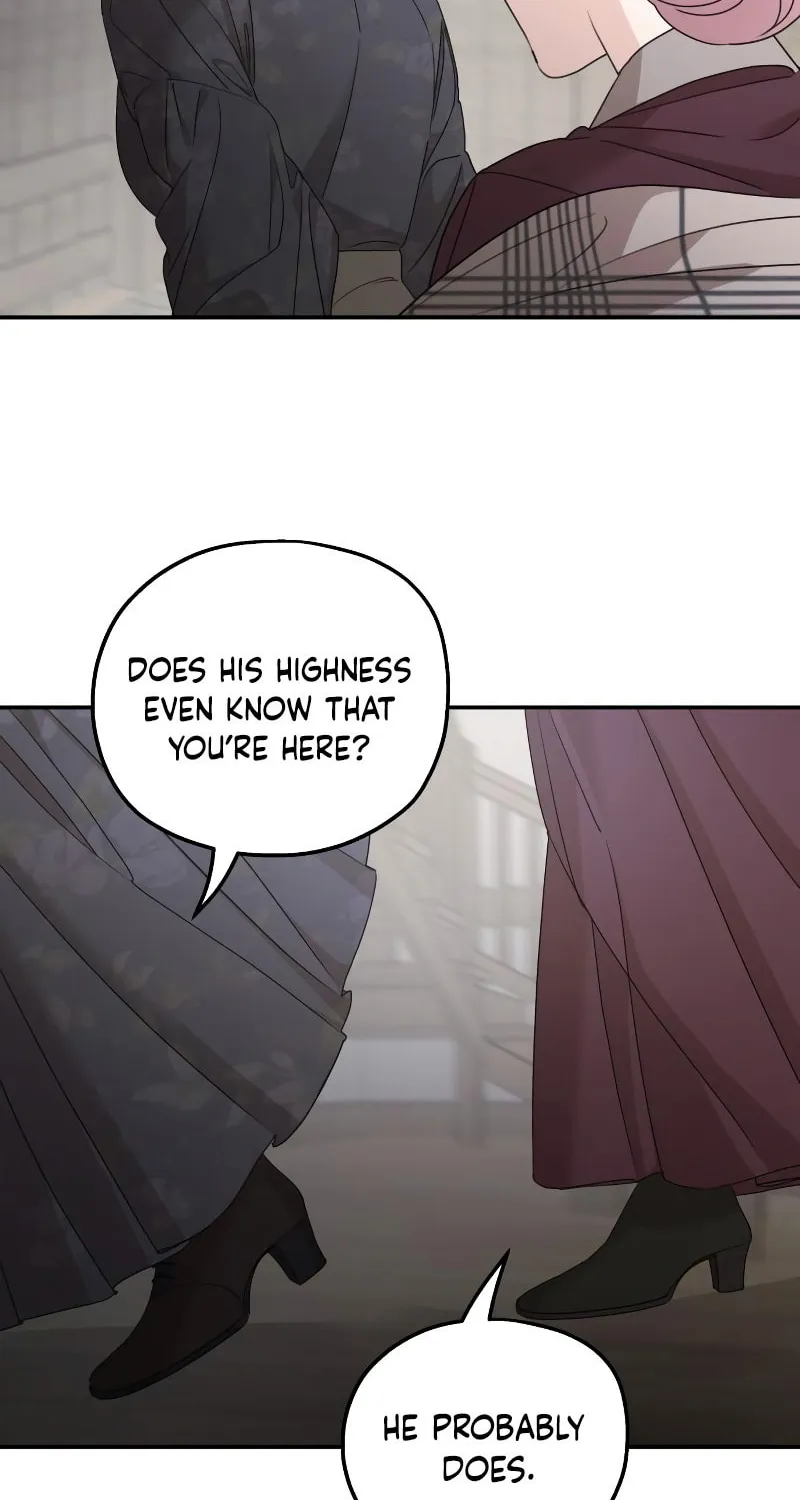 My In-Laws are Obsessed with Me Chapter 108 page 45 - 