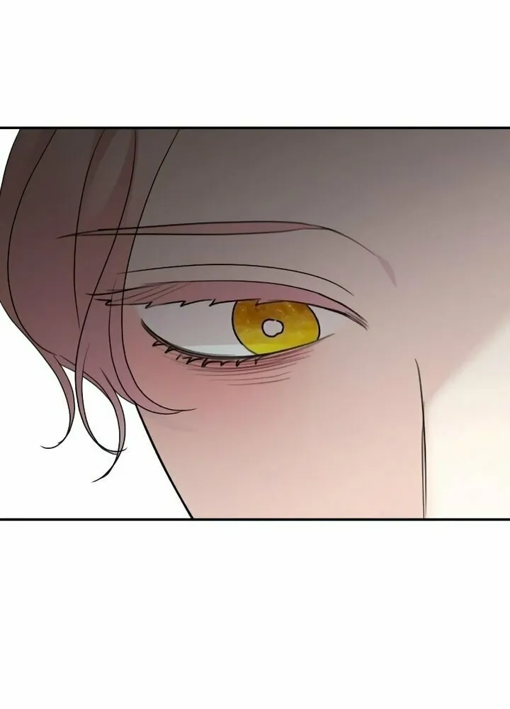 My In-Laws are Obsessed with Me Chapter 110 page 64 - 