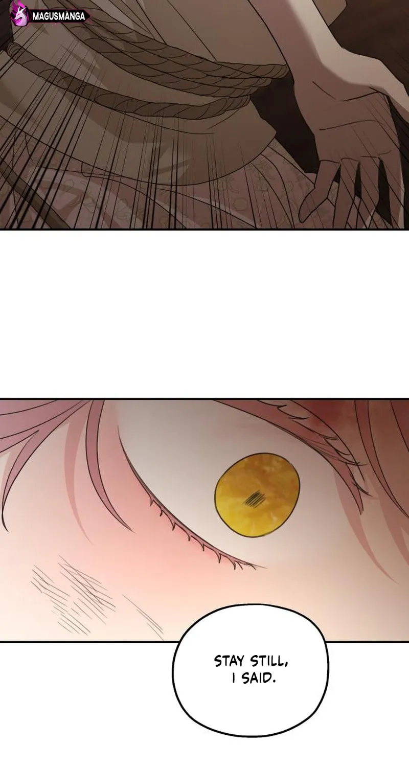 My In-Laws are Obsessed with Me Chapter 114 page 45 - 