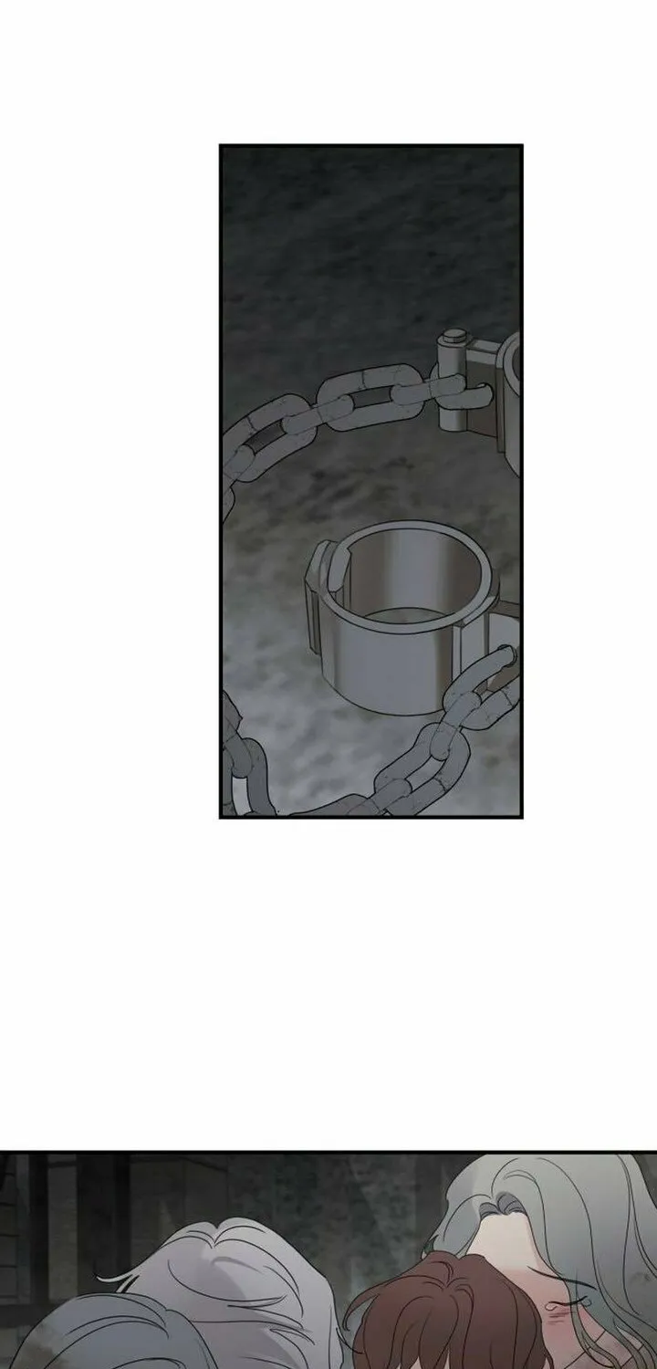 My In-Laws are Obsessed with Me Chapter 116 page 12 - 