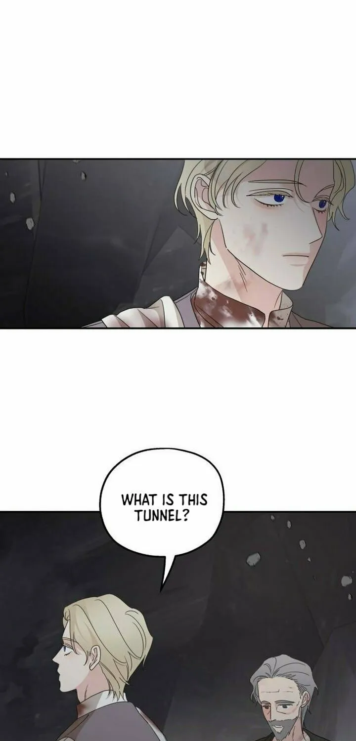 My In-Laws are Obsessed with Me Chapter 116 page 64 - 
