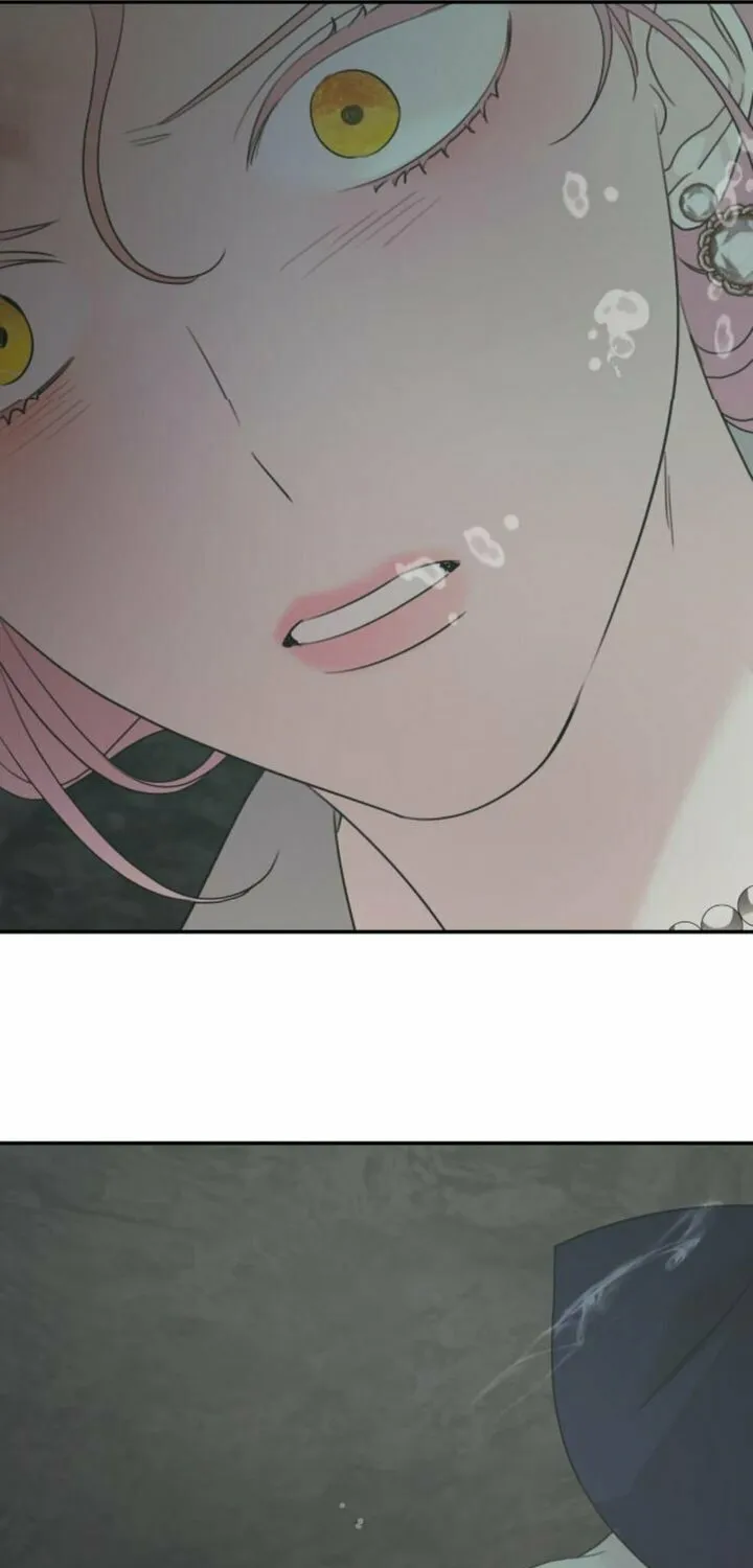 My In-Laws are Obsessed with Me Chapter 117 page 62 - 