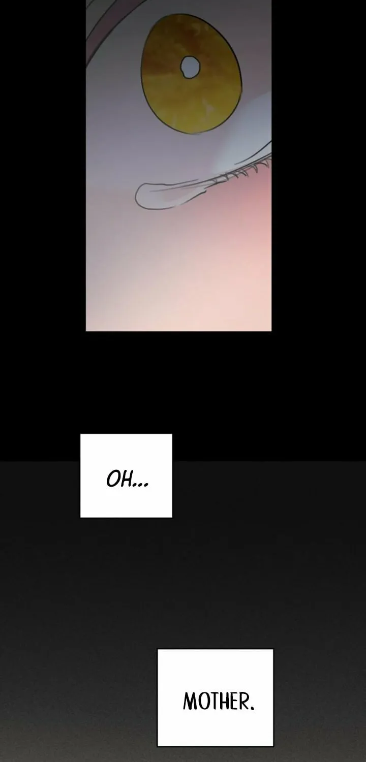 My In-Laws are Obsessed with Me Chapter 117 page 81 - 