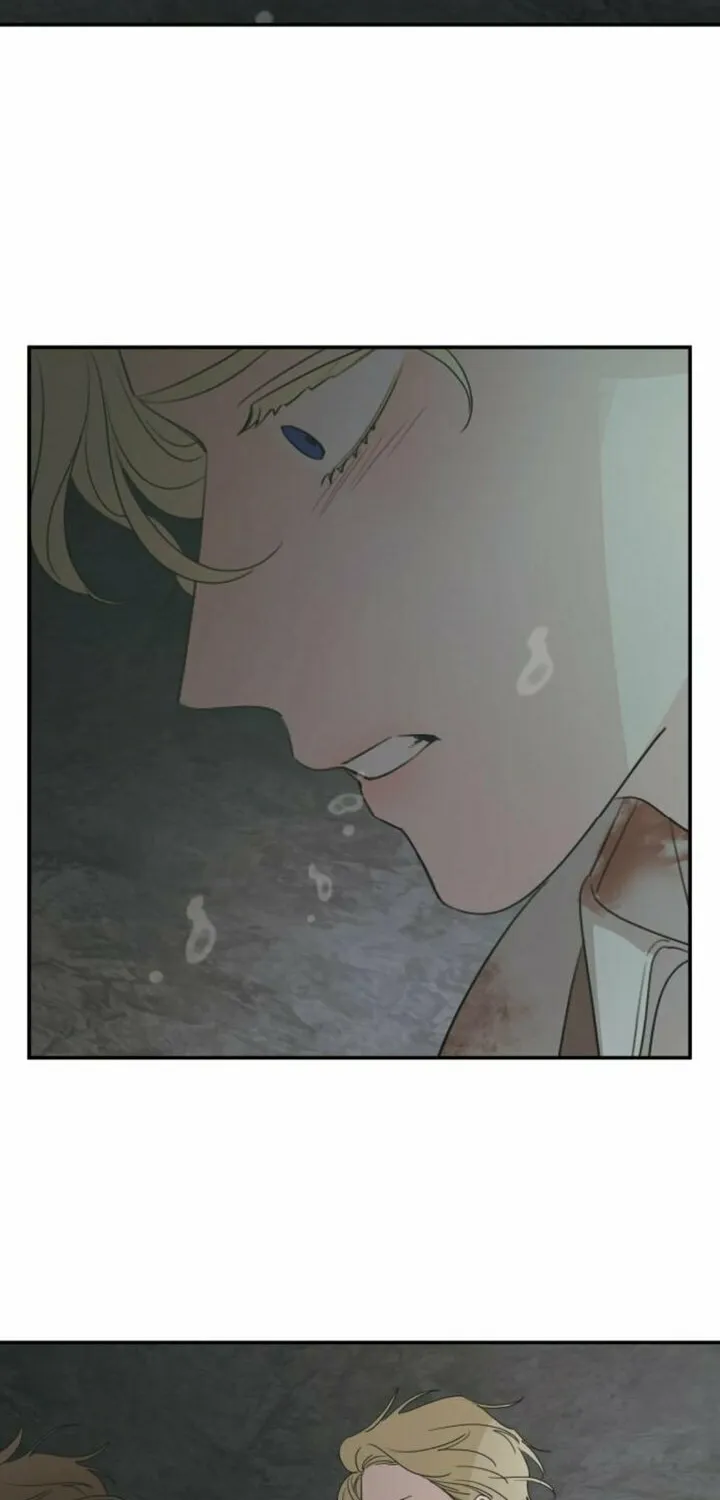 My In-Laws are Obsessed with Me Chapter 117 page 95 - 