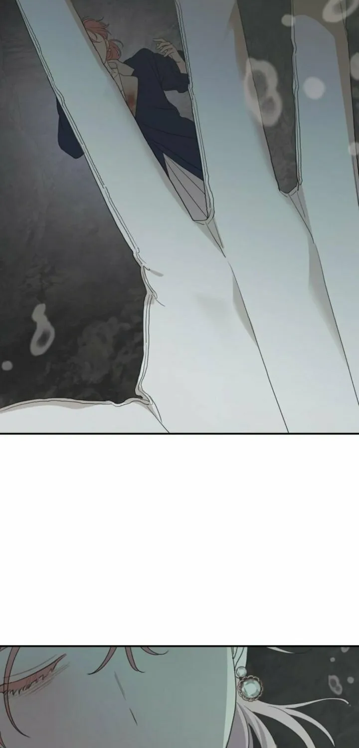 My In-Laws are Obsessed with Me Chapter 117 page 100 - 