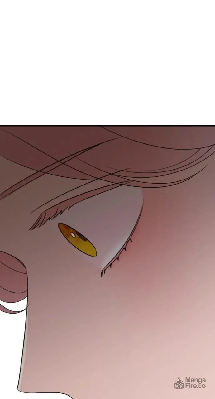My In-Laws are Obsessed with Me Chapter 128 page 66 - 