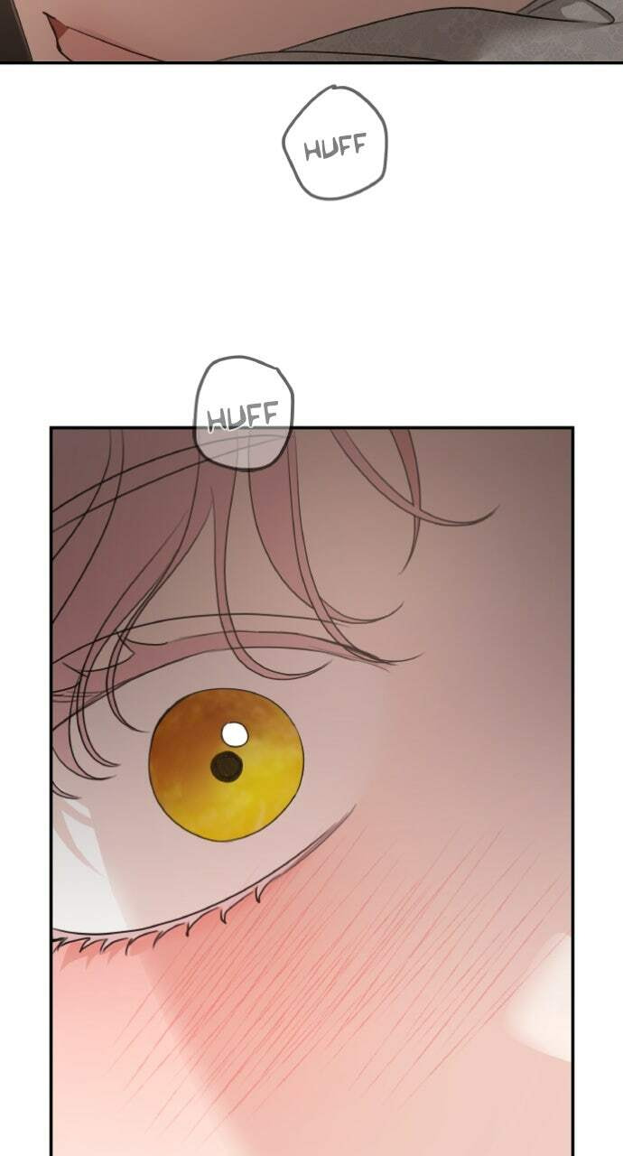 My In-Laws are Obsessed with Me Chapter 129 page 84 - 