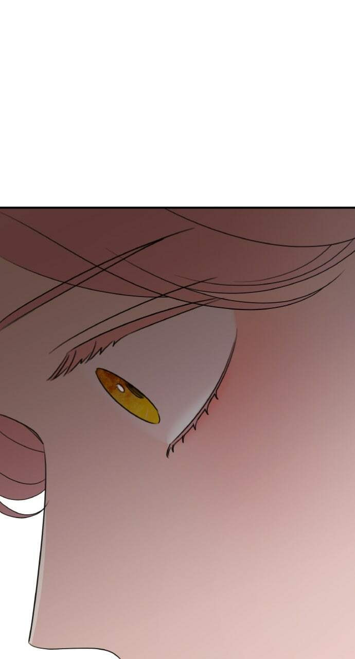 My In-Laws are Obsessed with Me Chapter 130 page 66 - 