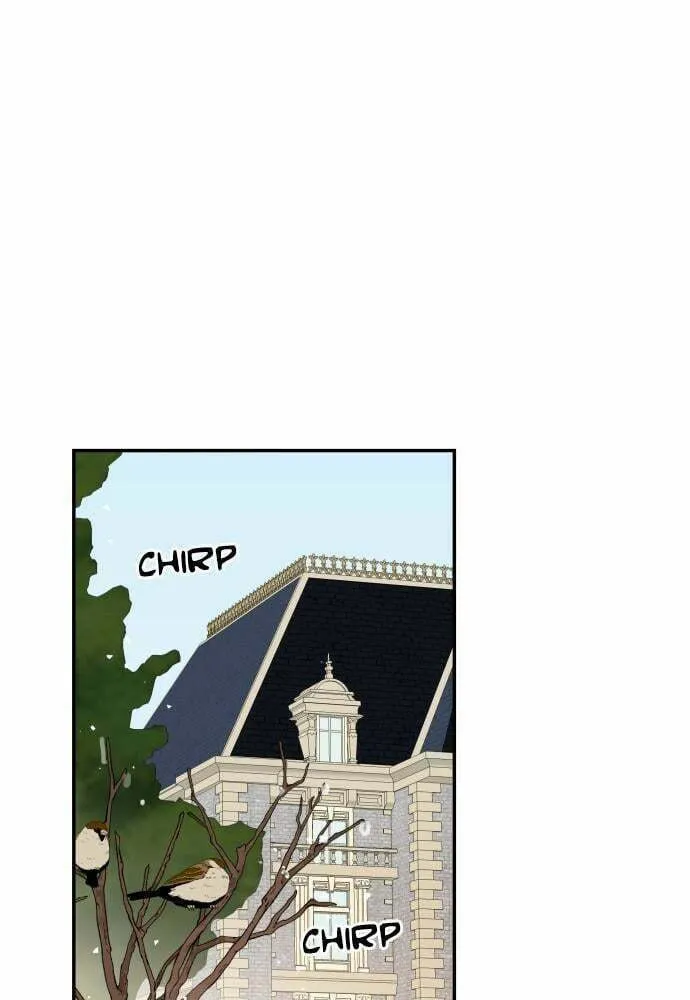 My In-Laws are Obsessed with Me Chapter 14 page 1 - 