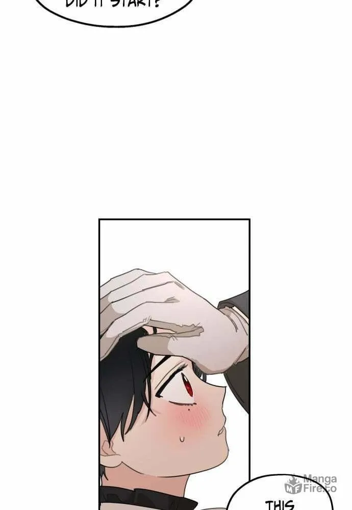 My In-Laws are Obsessed with Me Chapter 18 page 81 - 