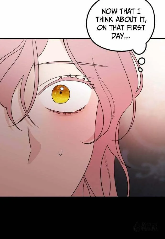 My In-Laws are Obsessed with Me Chapter 21 page 35 - 