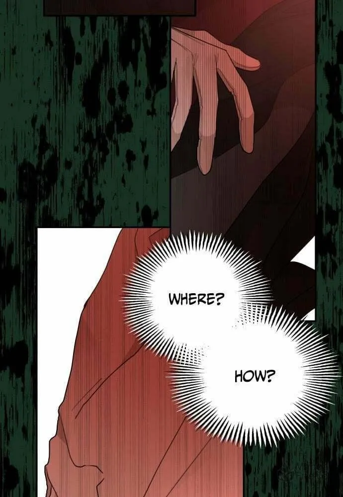 My In-Laws are Obsessed with Me Chapter 21 page 63 - 