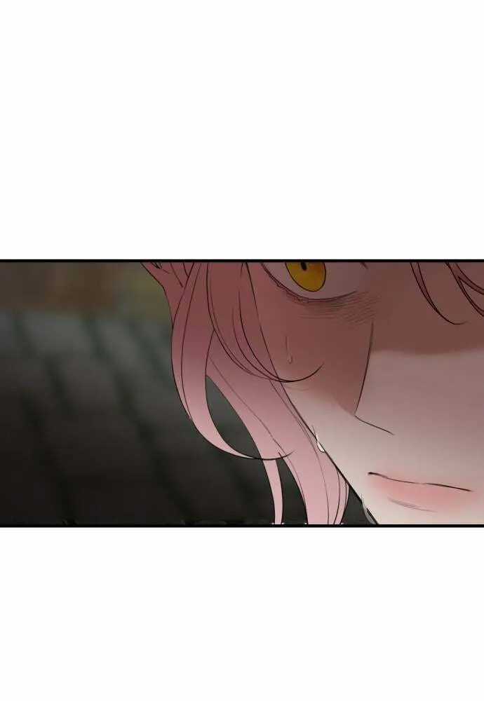 My In-Laws are Obsessed with Me Chapter 25 page 28 - 
