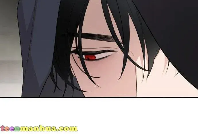 My In-Laws are Obsessed with Me Chapter 27.5 page 6 - 