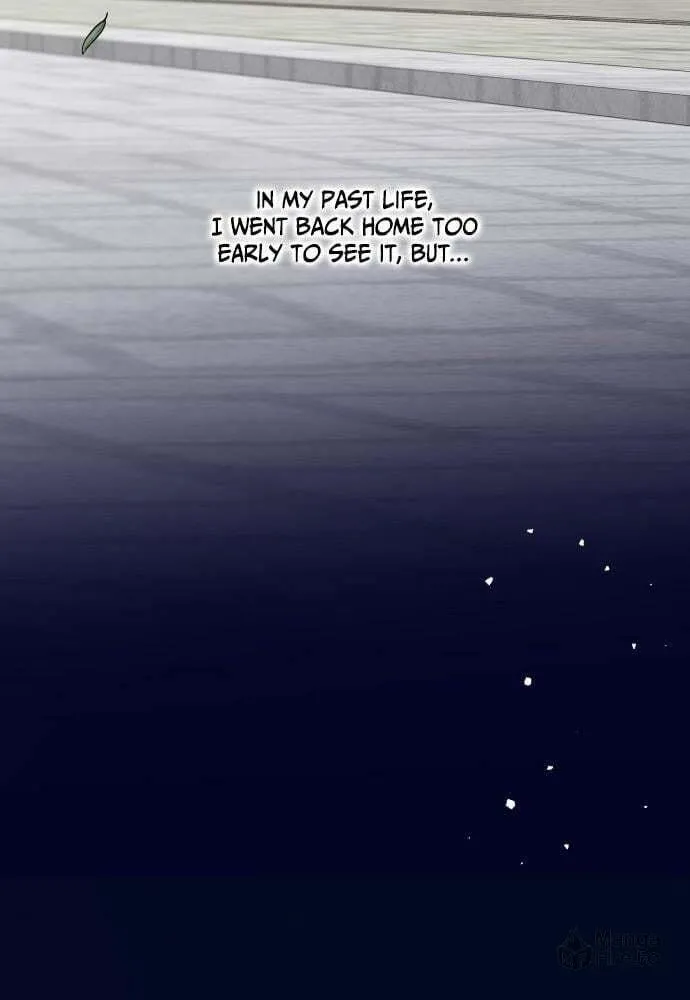 My In-Laws are Obsessed with Me Chapter 27 page 96 - 