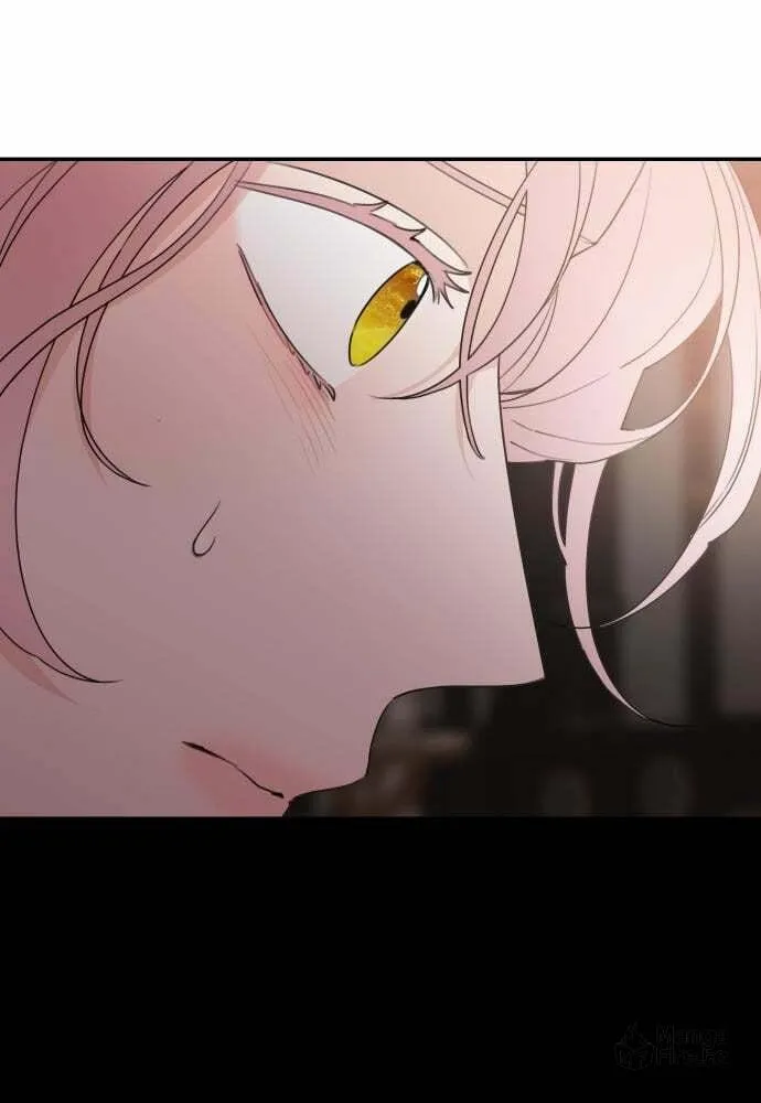 My In-Laws are Obsessed with Me Chapter 30 page 42 - 