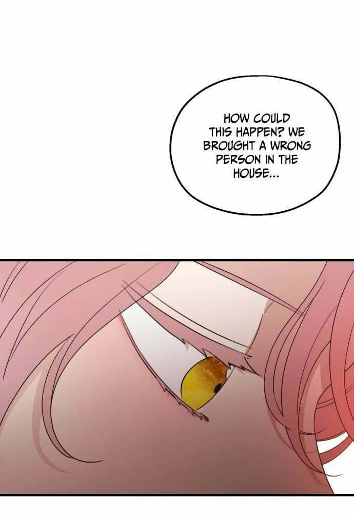 My In-Laws are Obsessed with Me Chapter 31 page 43 - 