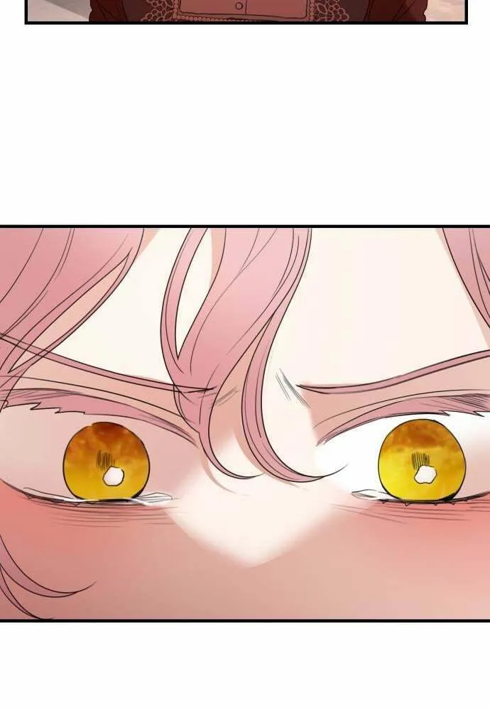 My In-Laws are Obsessed with Me Chapter 31 page 91 - 