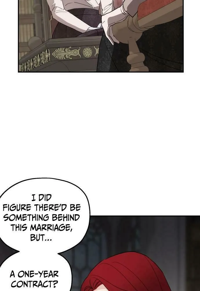 My In-Laws are Obsessed with Me Chapter 41 page 28 - 