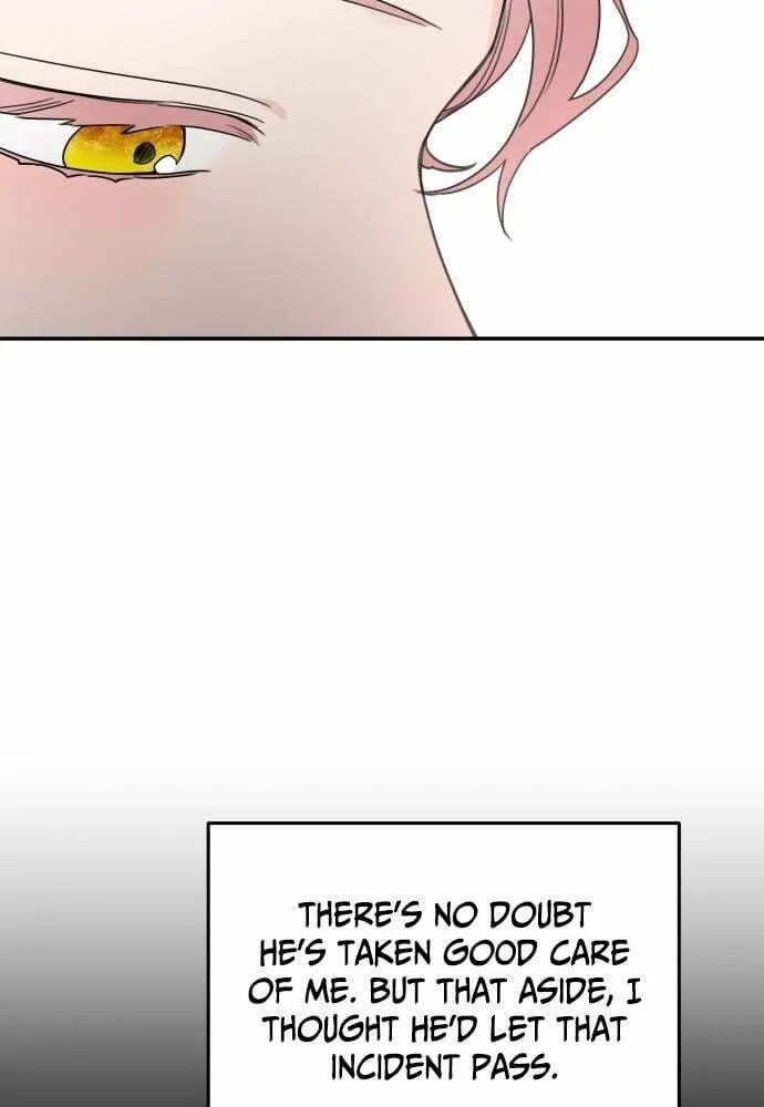 My In-Laws are Obsessed with Me Chapter 42 page 32 - 