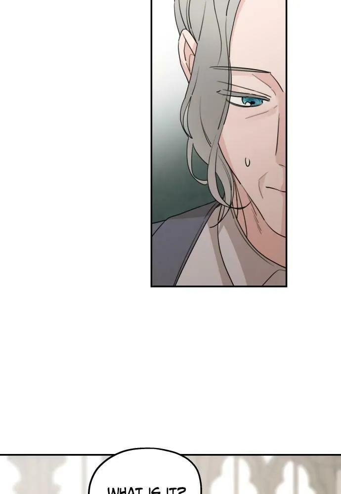 My In-Laws are Obsessed with Me Chapter 42 page 53 - 