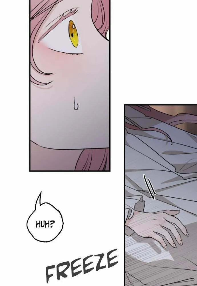 My In-Laws are Obsessed with Me Chapter 56 page 2 - 