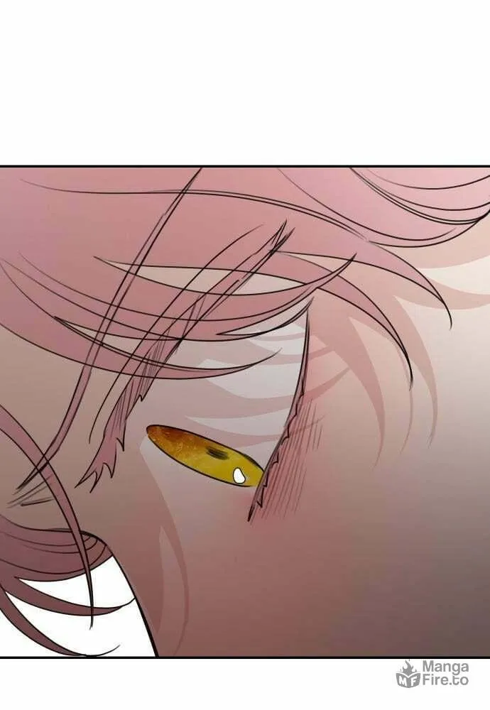 My In-Laws are Obsessed with Me Chapter 61 page 25 - 