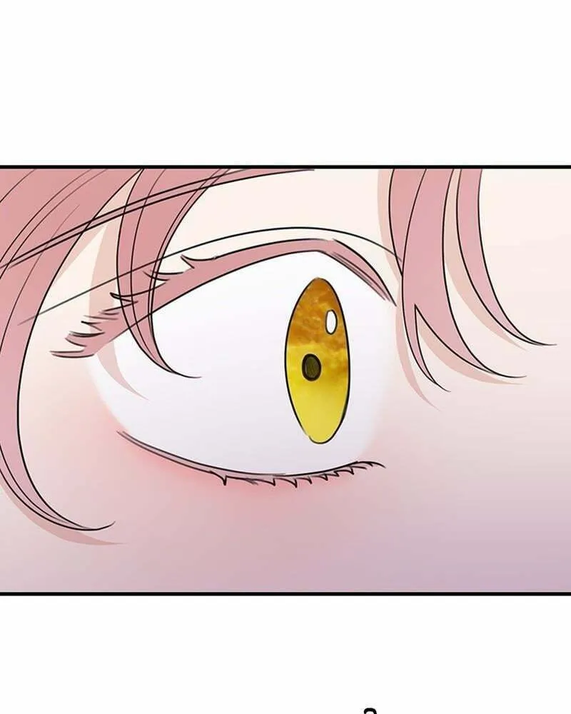 My In-Laws are Obsessed with Me Chapter 66 page 98 - 