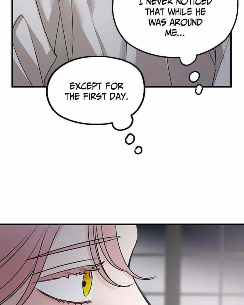 My In-Laws are Obsessed with Me Chapter 67 page 89 - 