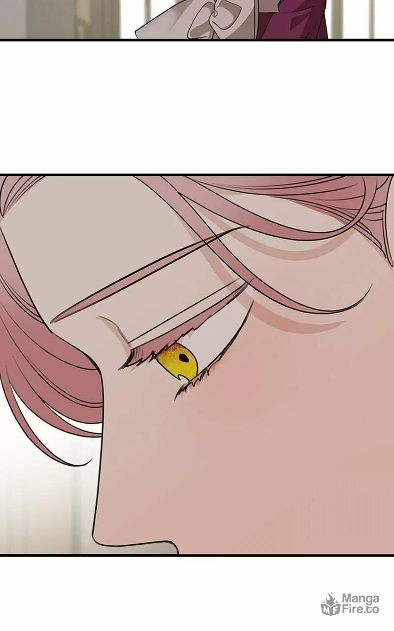 My In-Laws are Obsessed with Me Chapter 70 page 65 - 