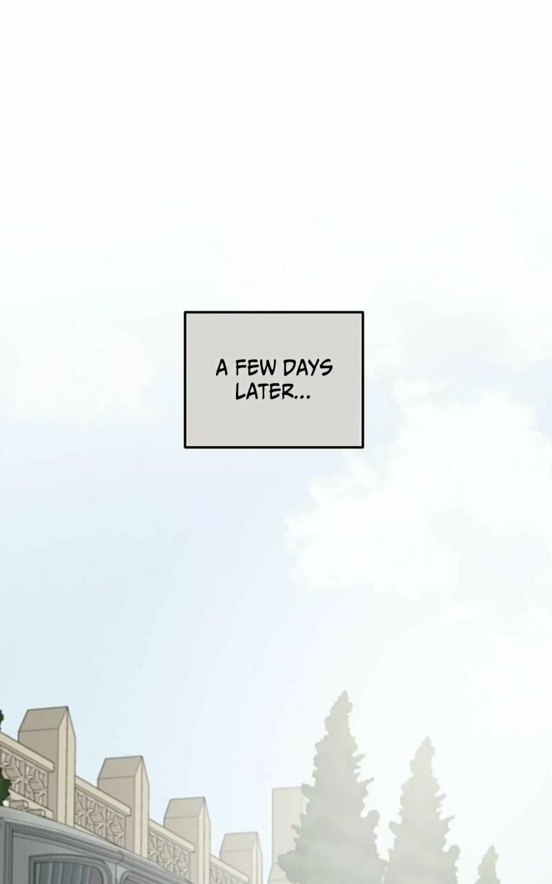 My In-Laws are Obsessed with Me Chapter 73 page 1 - 