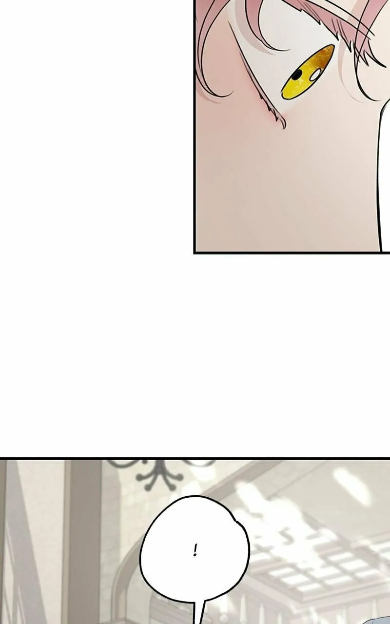 My In-Laws are Obsessed with Me Chapter 73 page 34 - 