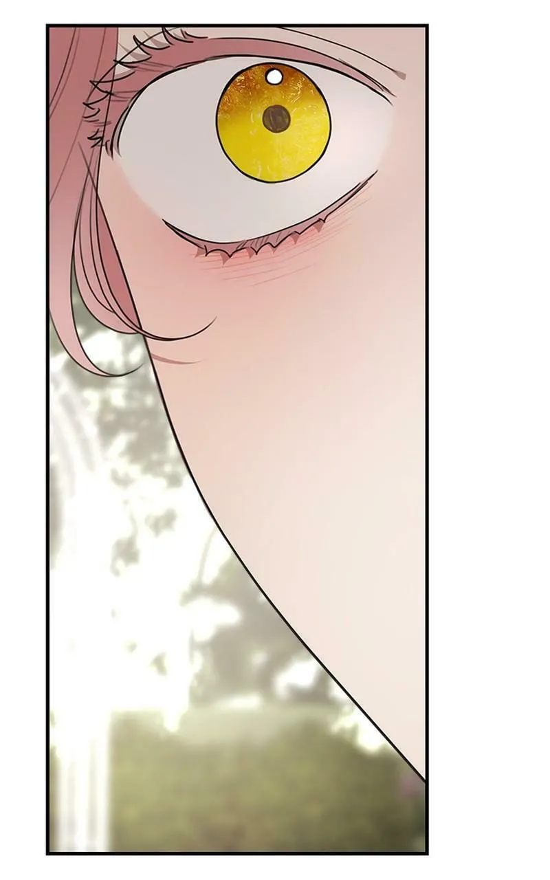 My In-Laws are Obsessed with Me Chapter 75 page 116 - 