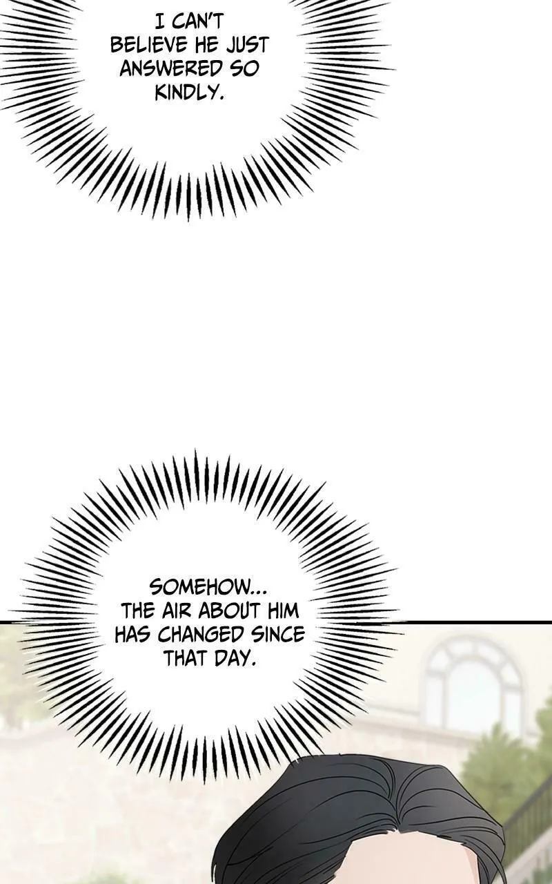 My In-Laws are Obsessed with Me Chapter 75 page 26 - 