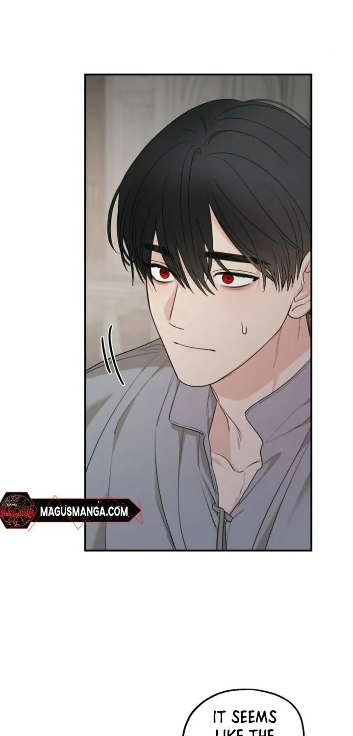 My In-Laws are Obsessed with Me Chapter 87 page 63 - 