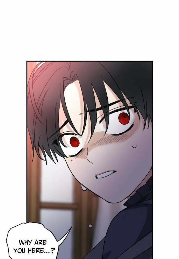 My In-Laws are Obsessed with Me Chapter 9 page 23 - 