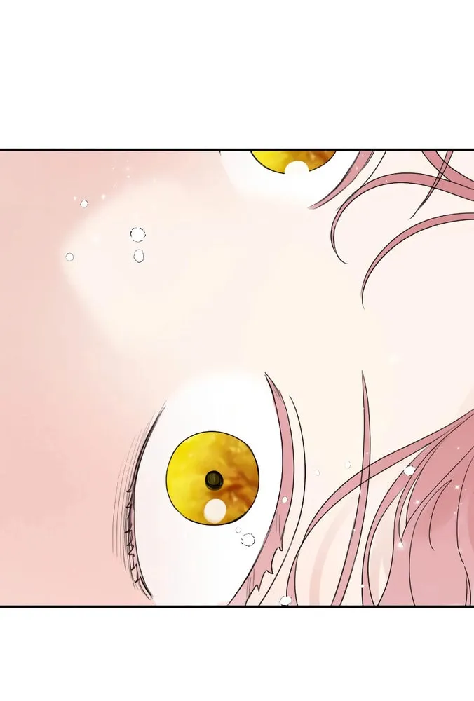 My In-Laws are Obsessed with Me Chapter 94 page 21 - 