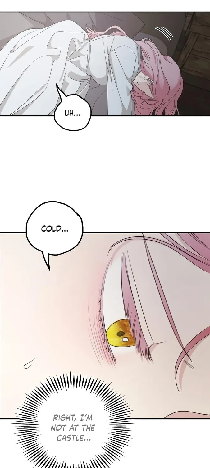 My In-Laws are Obsessed with Me Chapter 95 page 54 - 